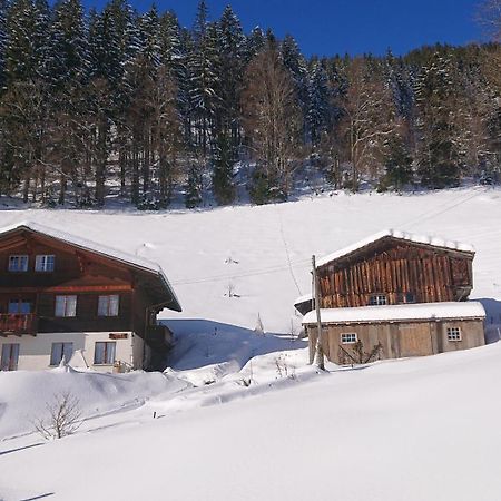 Kaenzeli - Ferienwohnung Mit Traumaussicht Беатенберг Экстерьер фото